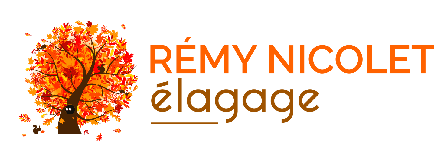 Rémy Nicolet Élagage
